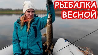 РЫБАЛКА НА СПИННИНГ ВЕСНОЙ. ЛОВЛЯ ЩУКИ И ОКУНЯ