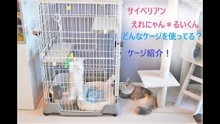 【猫2匹サイベリアン多頭飼い】質問の多いケージについてご紹介！