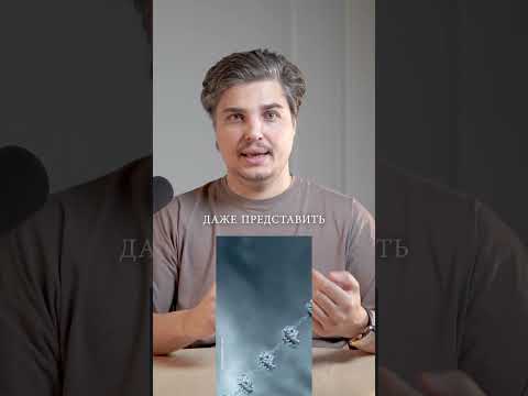 Сложность устройства: ДНК не могло появится случайно