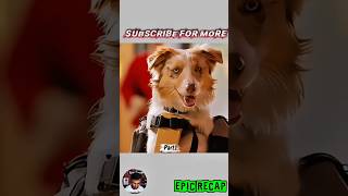 THE SMARTEST DOG WHO ROBBED A BANK! 😱🐕💰#storyRecap #geniusdog #bankheist #smartanimals |Epic Recap