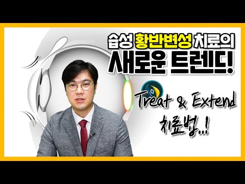   습성 황반변성 치료제 아일리아의 T E 요법이 갖는 의미는