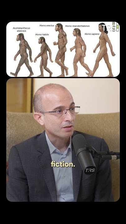 what-is-the-basis-of-human-cooperation-according-to-yuval-noah-harari-s