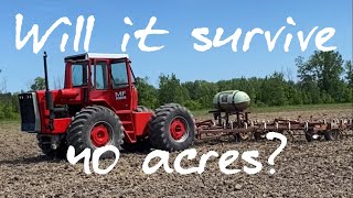 First 40 acres in 20 years! Will the fresh painted Massey 1800 survive?