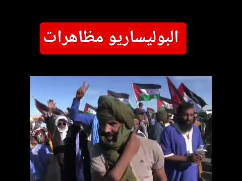 البوليساريو خارجين دايرين مظاهرات مبغناش حكم داتي بغينا لگياطن 