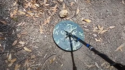 Coil comparison on GPX5000: Nugget Finder Evo, Coiltek Elite, Detech Ultra