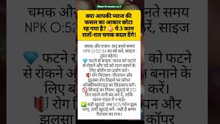 प्याज का साइज कैसे बढ़ाएं? 🧅 प्याज की खेती का नया तरीका 2026 | #Shorts
