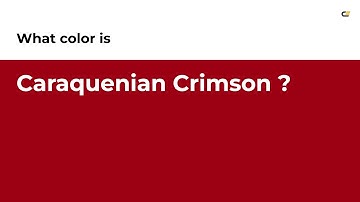 Caraquenian Crimson color #9c0013 hex color - Red color - Cool color 9c0013