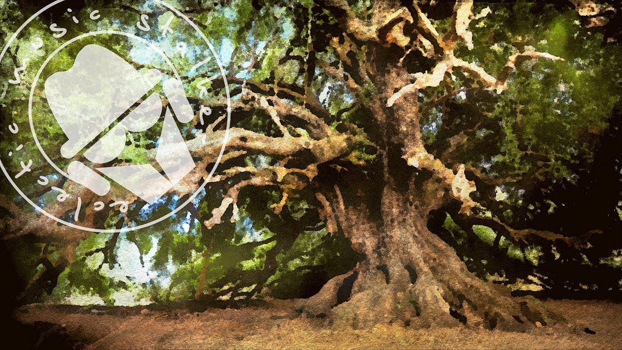 Sol Rising - Eternity 👇 Eclectic Chill Playlist