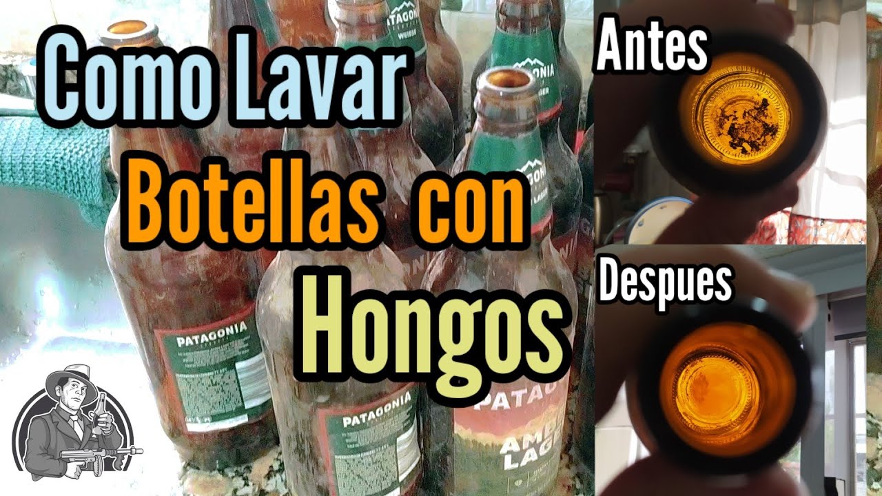 Así limpio mis botellas para Reutilizarlas 🧽🍺 - Cerveza Artesanal | La Birra Nostra