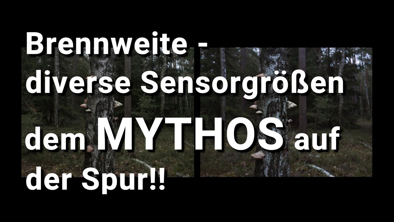 Brennweiten und verschiedene Sensorgrößen - dem Mythos auf der Spur! mit Nikon D750 und Lumix GH6