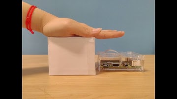 Palmprint Biometric System - No sound