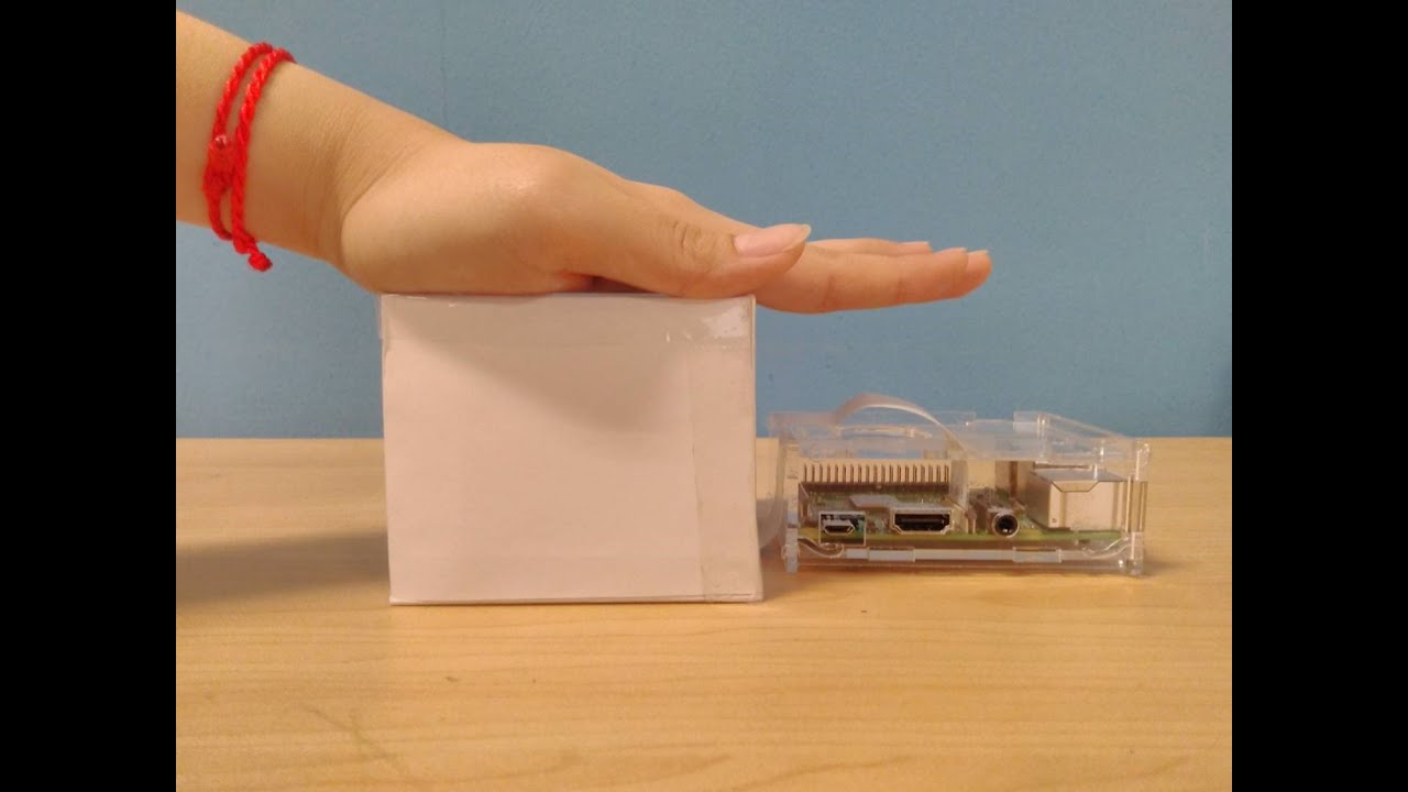 Palmprint Biometric System - No sound