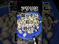 夜の海でアサリ拾って食う #shorts #潮干狩り
