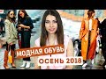 МОДНАЯ ОБУВЬ НА ОСЕНЬ 2018 | ГДЕ КУПИТЬ? С ЧЕМ НОСИТЬ?