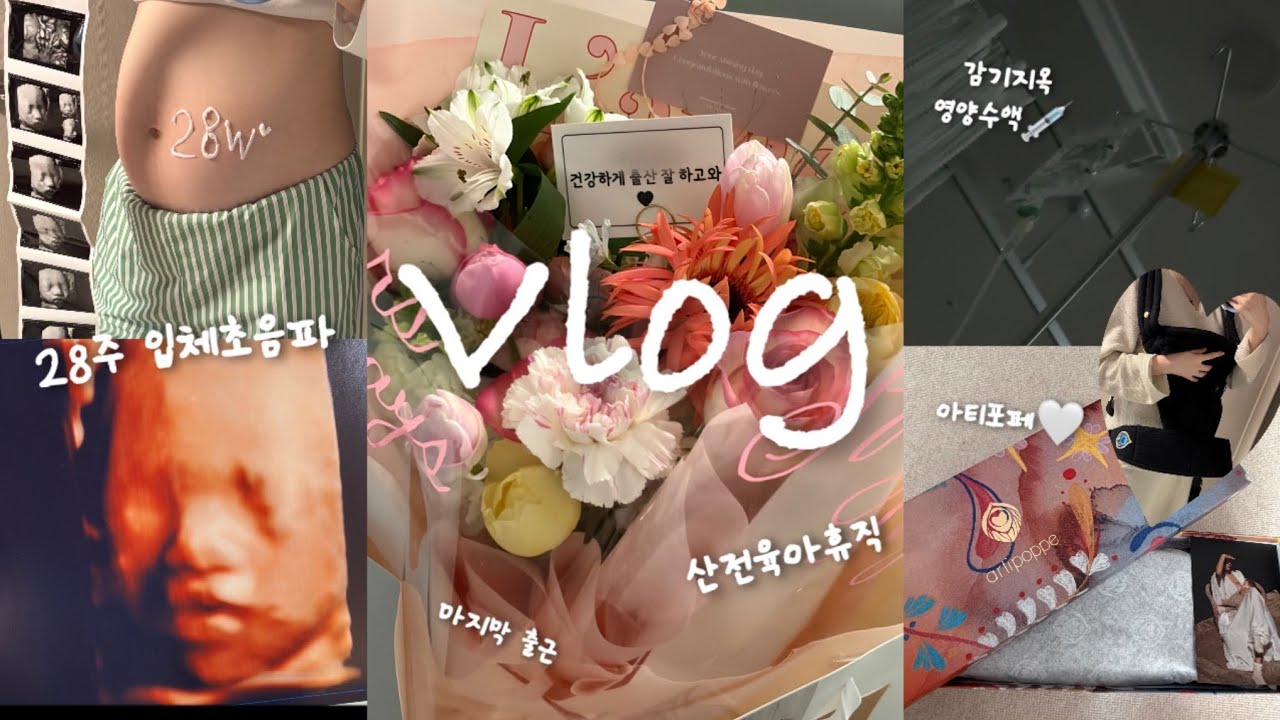 임신 브이로그 : 28주 입체초음파 성공 후 마지막 출근… 감기지옥과 32주 역아 😭, 아티포페 아기띠 언박싱까지