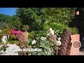 Jardin  secret de jardin mditerranen  20150722