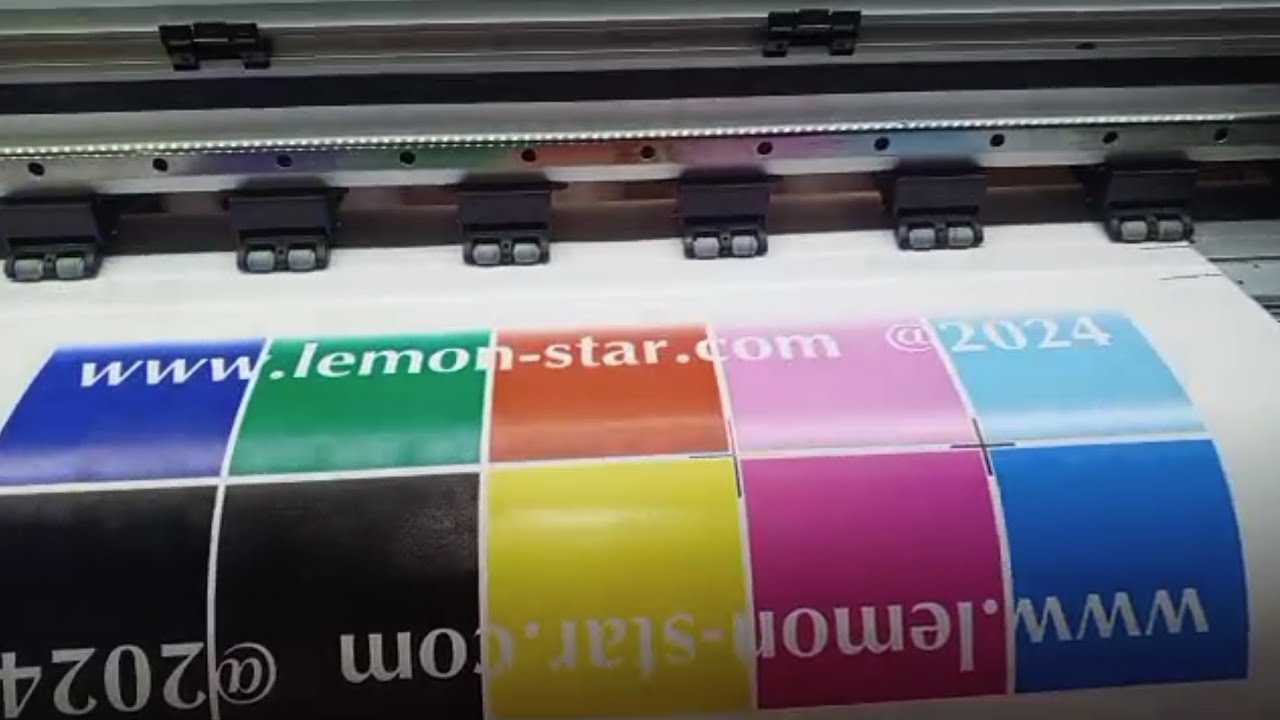 LEMON STAR Remote Support for members