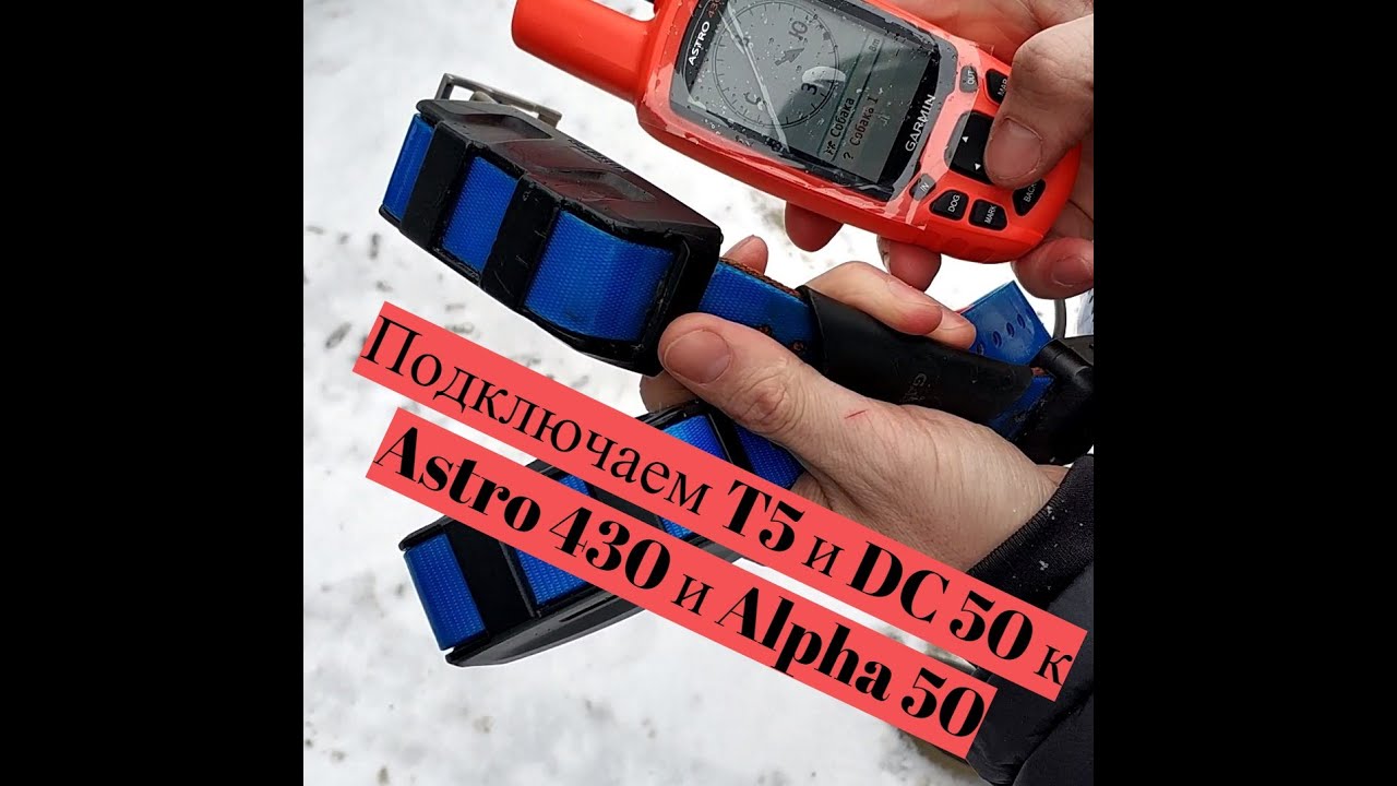 Как подключить к навигатору Astro 430 и Alpha 50 ошейники T5 и DC 50 ...