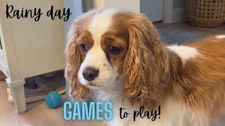 WHAT CAN YOU DO WITH YOUR DOG ON A RAINY DAY?! by Sawyer's Wonderful Life 349 views 2 weeks ago 9 minutes, 12 seconds