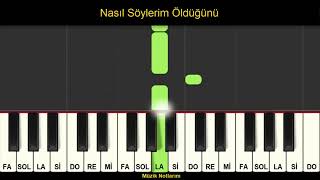 Nasıl Söylerim Öldüğünü Melodika Org Notaları Resimi