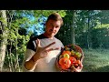 3 grunde til at jeg dyrker og sanker min mad: Tanker om selvforsyning som livsstil i et tiny house