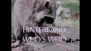 Hinterland Whos Who: The Raccoon
A short public service announcement on the racoon.
NFB: 1978
http://www.hww.ca/en/wildlife/mammals/raccoon.html Hinterland Whos Who: The Raccoon