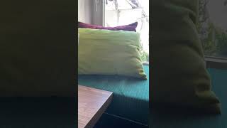 IMG 0140