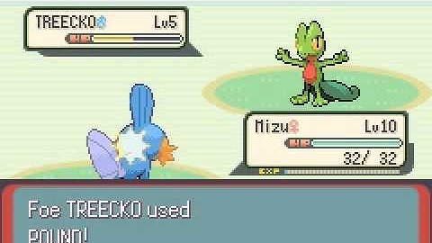 Pokemon Emerald - Pokemon Trainer Brendan - Battle 1