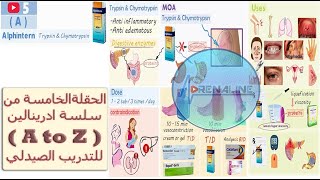 شرح مفصل لدواء (Alphintern) و الماده الفعالة ( trypsin & chymotrypsin )  مضاد التهاب و تورمات