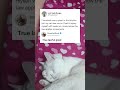 Cat Owner Sprays Themselves to Show Fair Justice