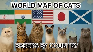 Cats of the World | Cat Breeds by Country & Origins of Popular & Rare Feline Breeds