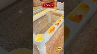 Creative DIY Fish Jar Table Build | Before & AfterWaste to Wow! Fish #viralvideo #fish #1millionvie
