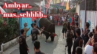 Kirab Bantengan Sanan part 1 # awas..mobil e penyookkkk..mas e....!!