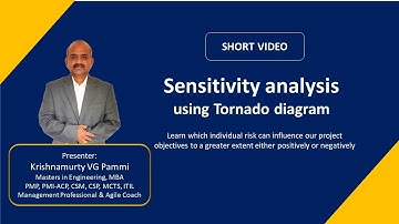 Sensitivity analysis using Tornado Diagram