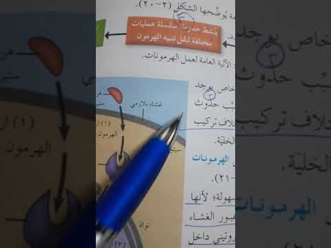 تصنيف الهرمونات وآلية عملها ص١٠٥و١٠٦