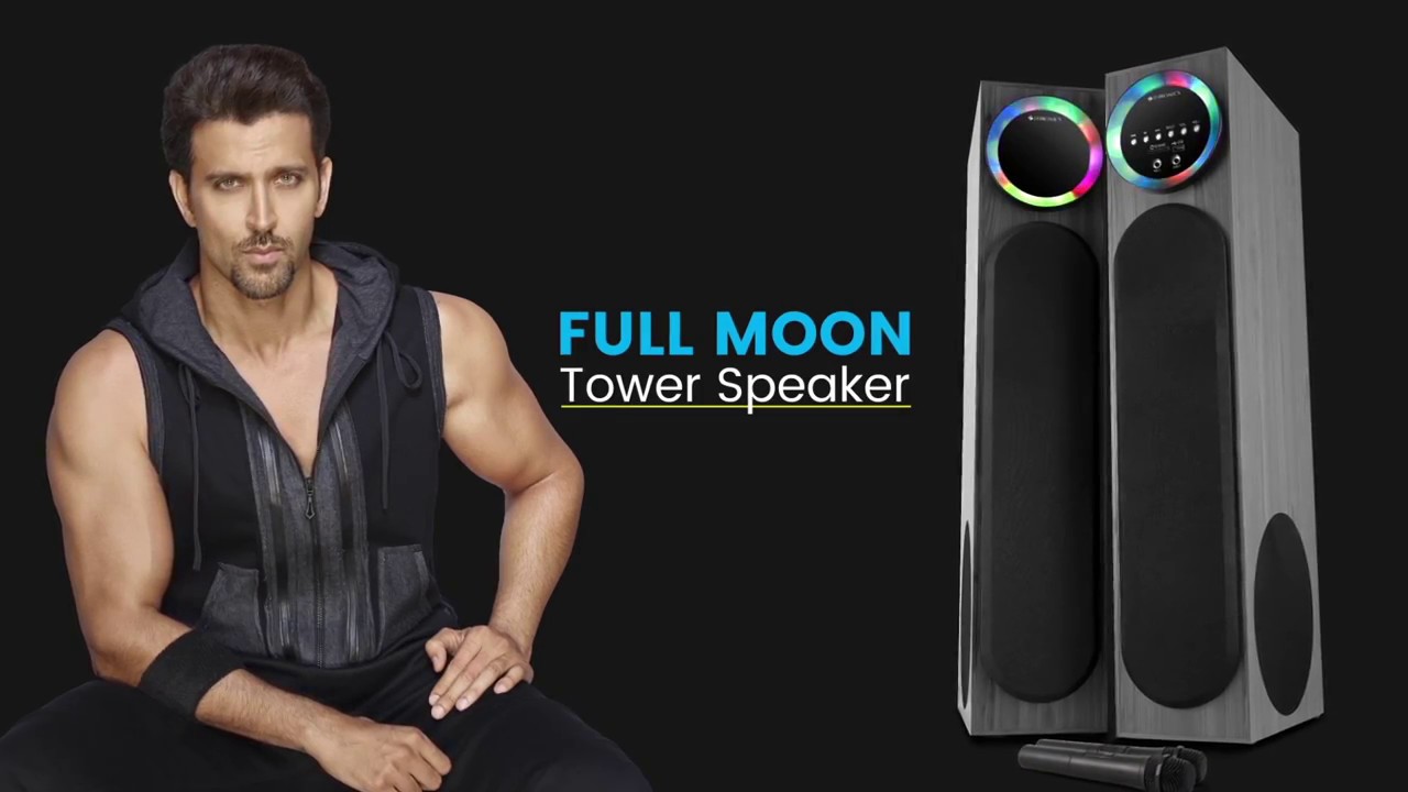 zebronics tower speaker price