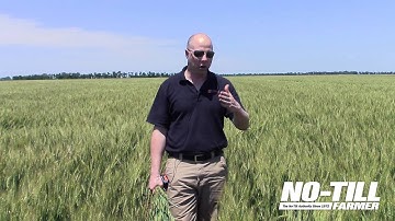 Saving Moisture, Boosting Soils with No Till