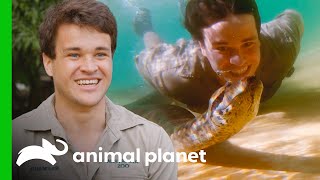 Chandler Swims With an Anaconda! | Crikey! It's the Irwins