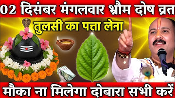 02 दिसंबर मंगलवार भौम प्रदोष व्रत के दिन 5 तुलसी के पत्ते वाला उपाय जरुर करे || Pradeep Ji Mishra