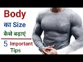 Body का Size कैसे बढ़ाएं | Body kaise banaye | Body banane ka tarika | Bodybuilding tips hindi