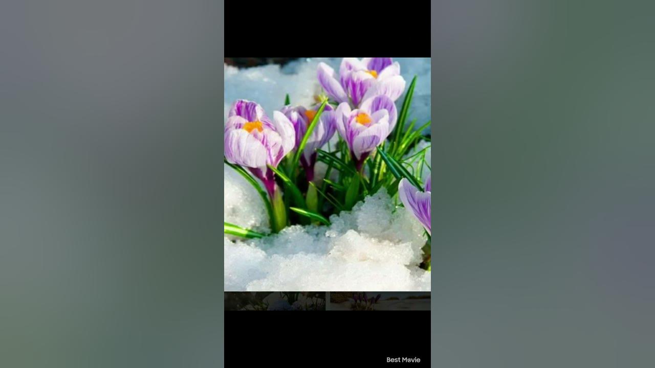 Всё проходит и это пройдёт. Вера Чернова (Антошина) - YouTube