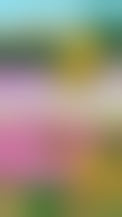 FUN FACT: Male bees die after sex. #viral #animation #shorts