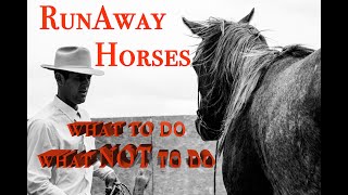 Runaway Horses: What to do on a Runaway