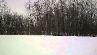 2008 ski-doo summit x