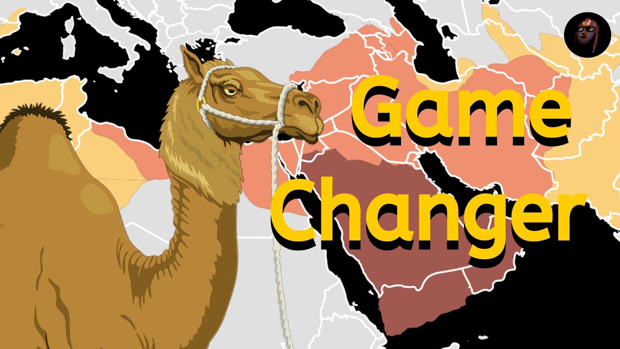 How Did Camels and Climate Change Make Islam's Rise to Power Possible?