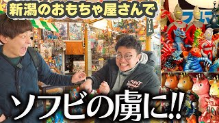 【爆買い？】銀シャリが新潟のおもちゃ屋さんでソフビの素晴らしさを知りました。