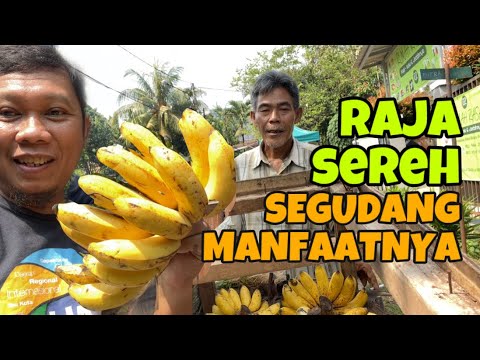 Cara Mengolah Pisang Raja Sereh