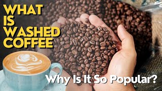 Coffee Processing 101: What Is Washed Coffee & Why Is It So Popular