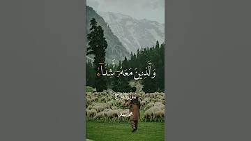 محمد رسول الله والذين معه أشداء عبد العزيز حصان 