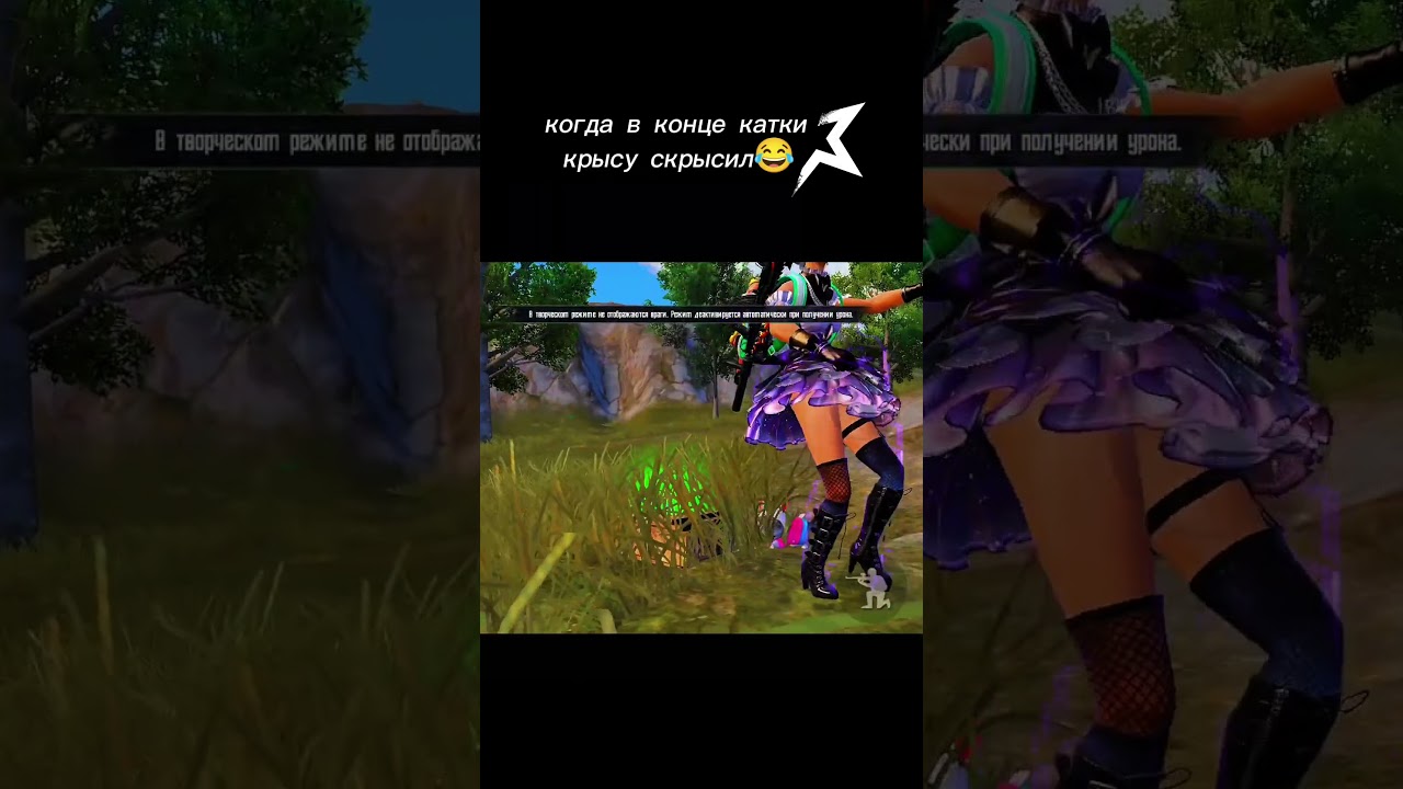 крысу скрысил 